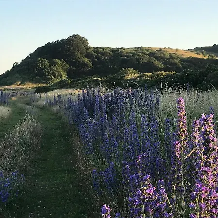 Eksklusiv Med Havudsigt I Nationalpark Mols Bjerge *